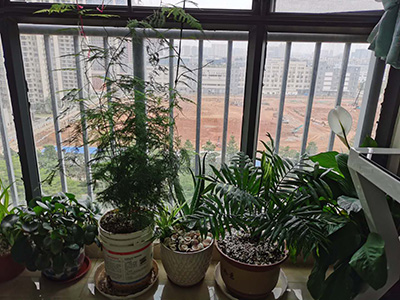 ��ݸ��¥�����ͷ����ˮ��֪